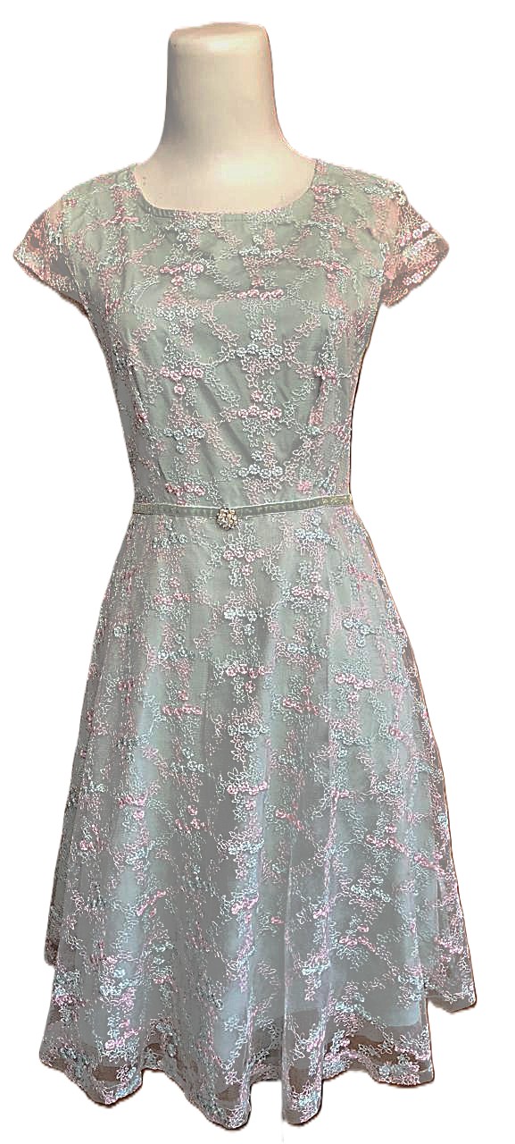 Pastel Lace Bloom Dress